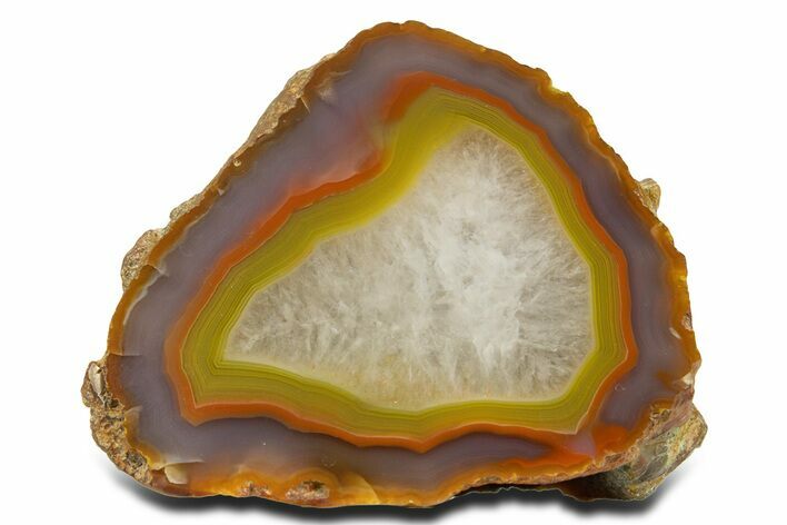 Polished Queensland Agate Nodule - Australia #323018